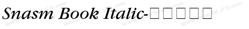 Snasm Book Italic字体转换